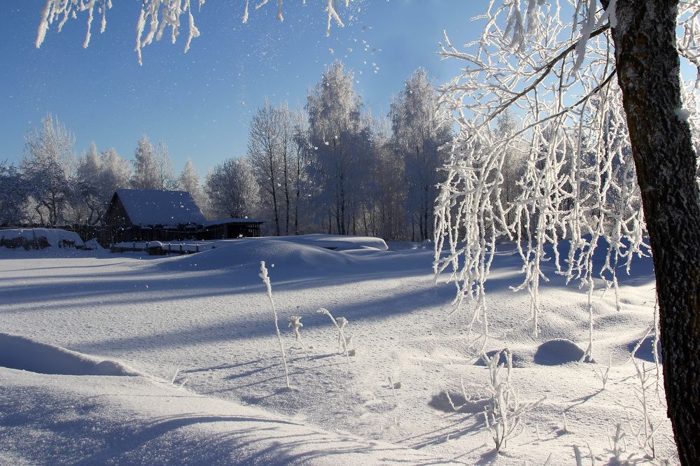 Photograph by Феденкова Татьяна