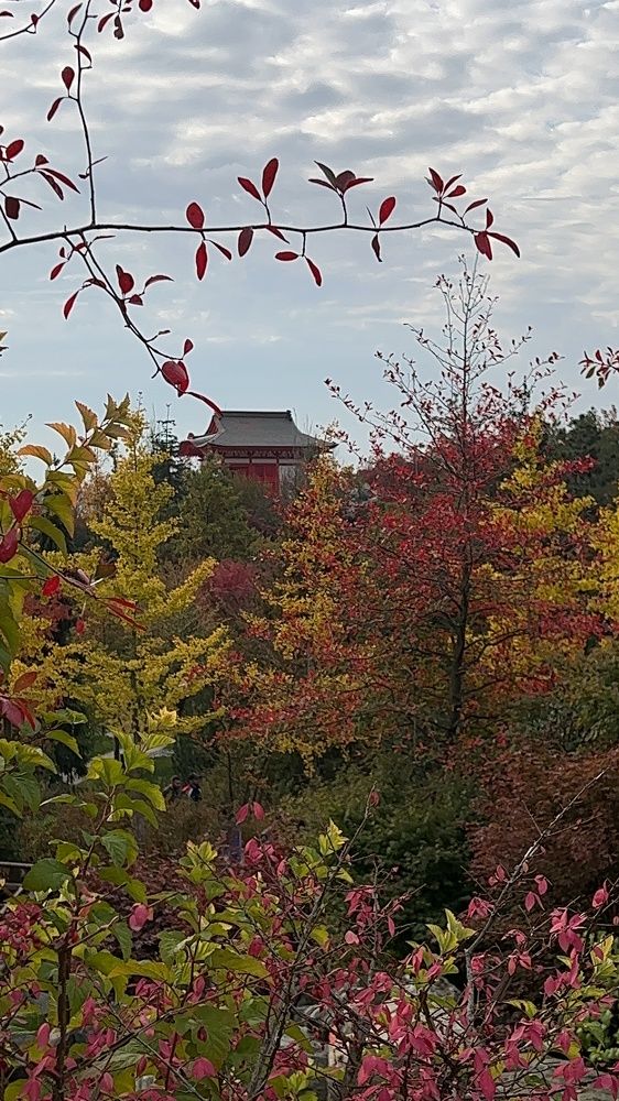 Photograph by Елена Громова