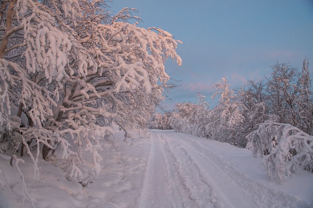 Photograph by Юрий Платухин