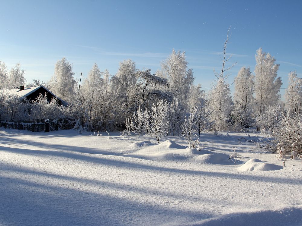 Photograph by Феденкова Татьяна