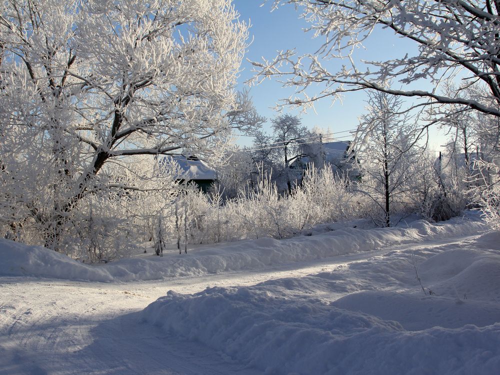 Photograph by Феденкова Татьяна