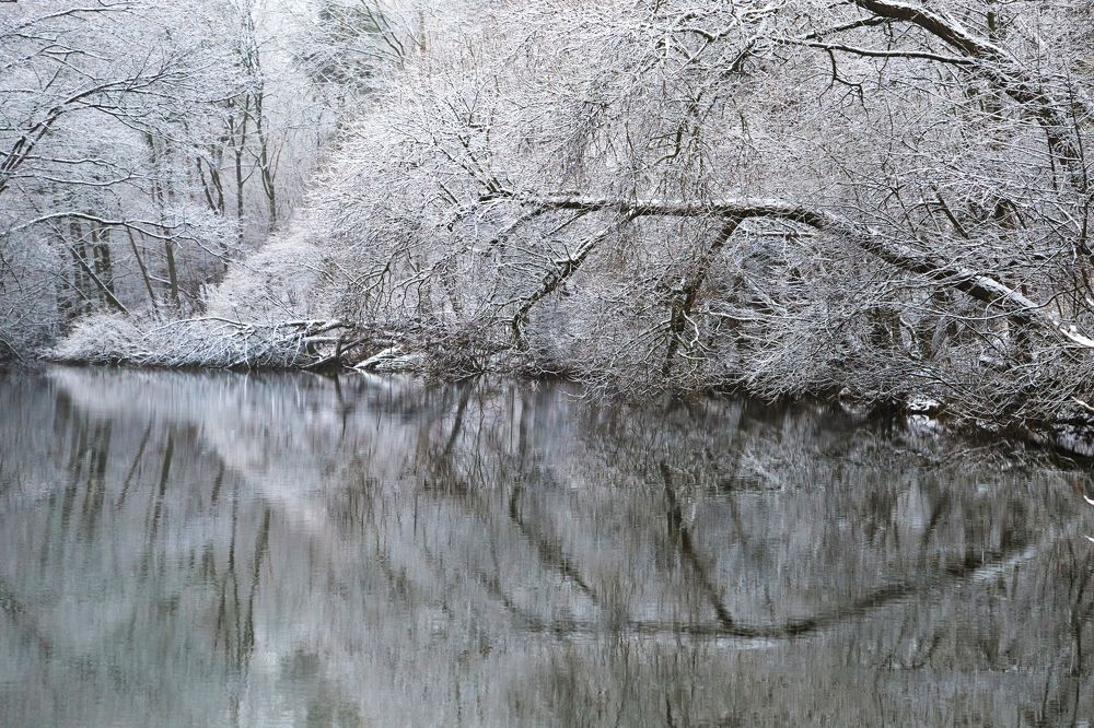 Photograph by Ivan S.