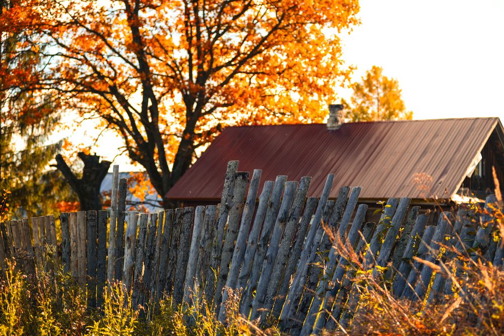 Photograph by Марина Попова