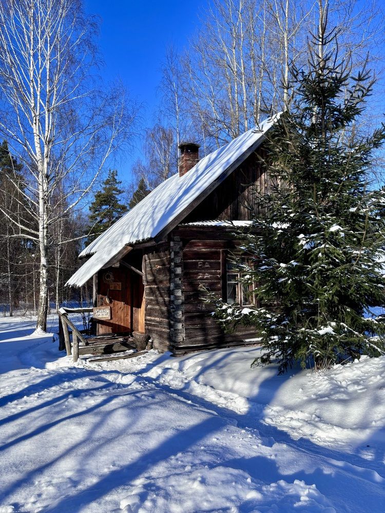 Photograph by Halina Mitsevich