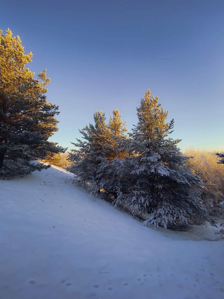 Photograph by Anna Chub