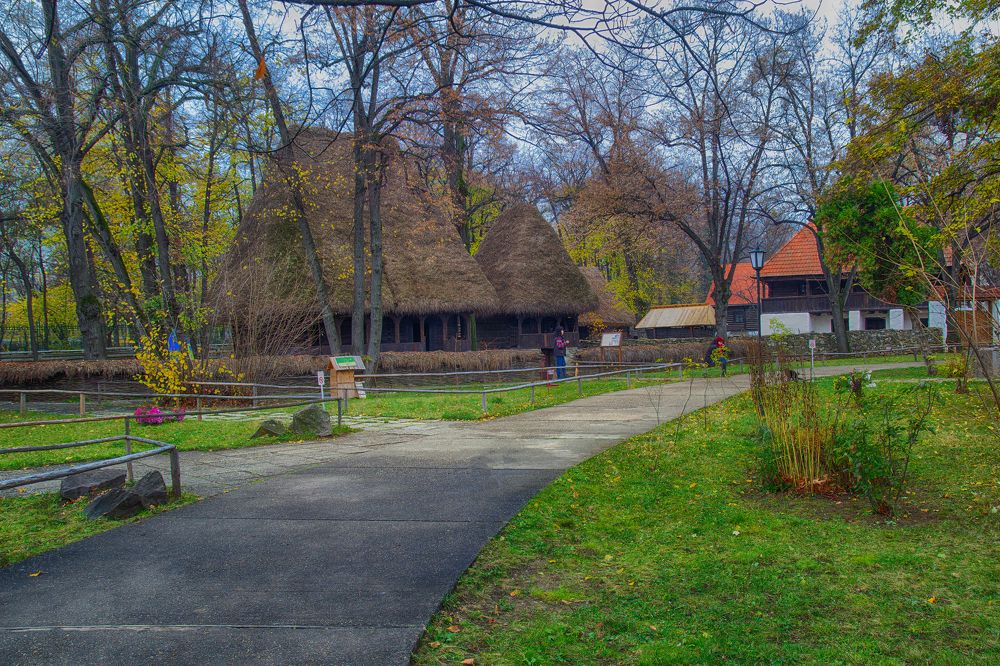 Photograph by Cojanu Silviu