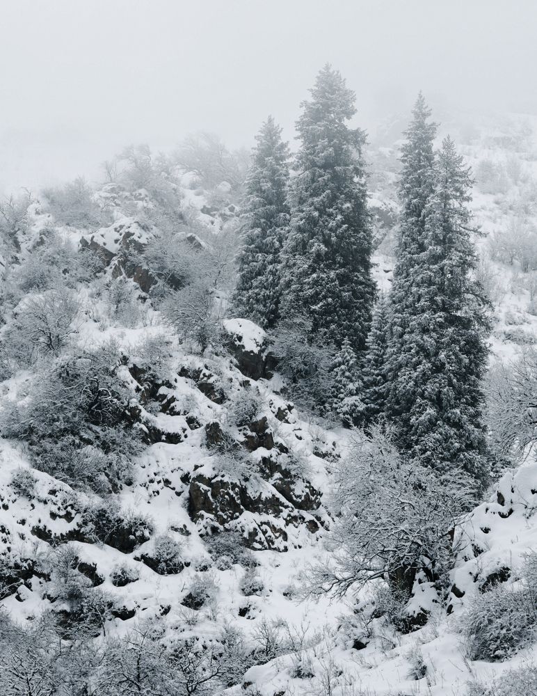 Photograph by Анна Чичилова