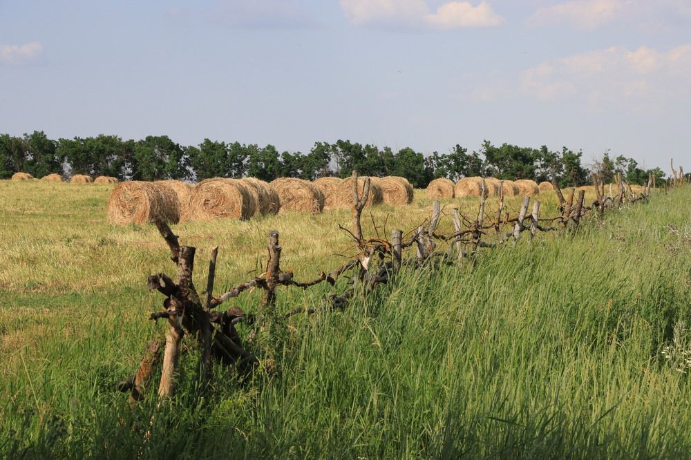 Photograph by Наталья Лукьянчук