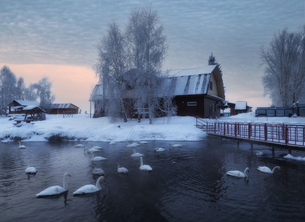 Photograph by Галина Хвостенко