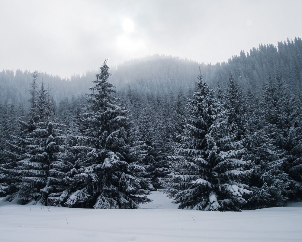 Photograph by Анна Чичилова