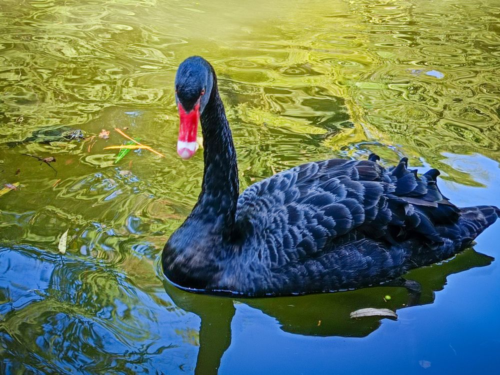 Photograph by Старцев Андрей