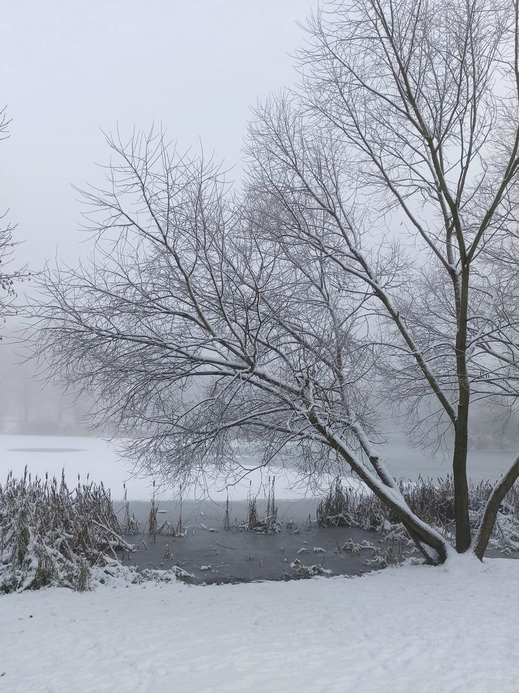 Photograph by Дина Полухина