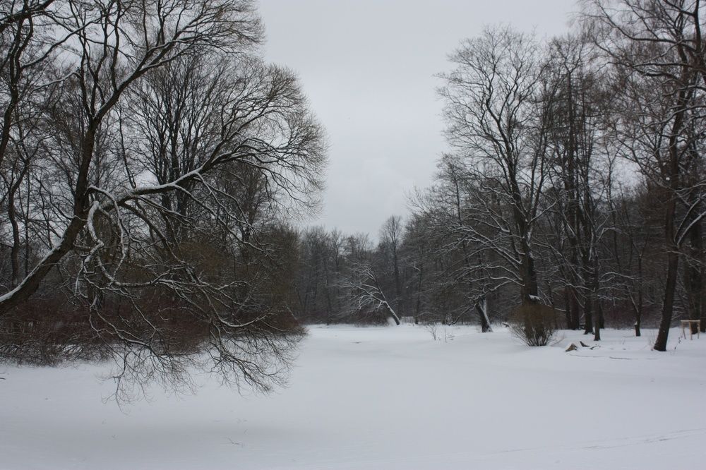 Елагин остров. Зима.