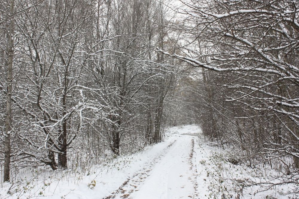 Вердия. Зимний путь.