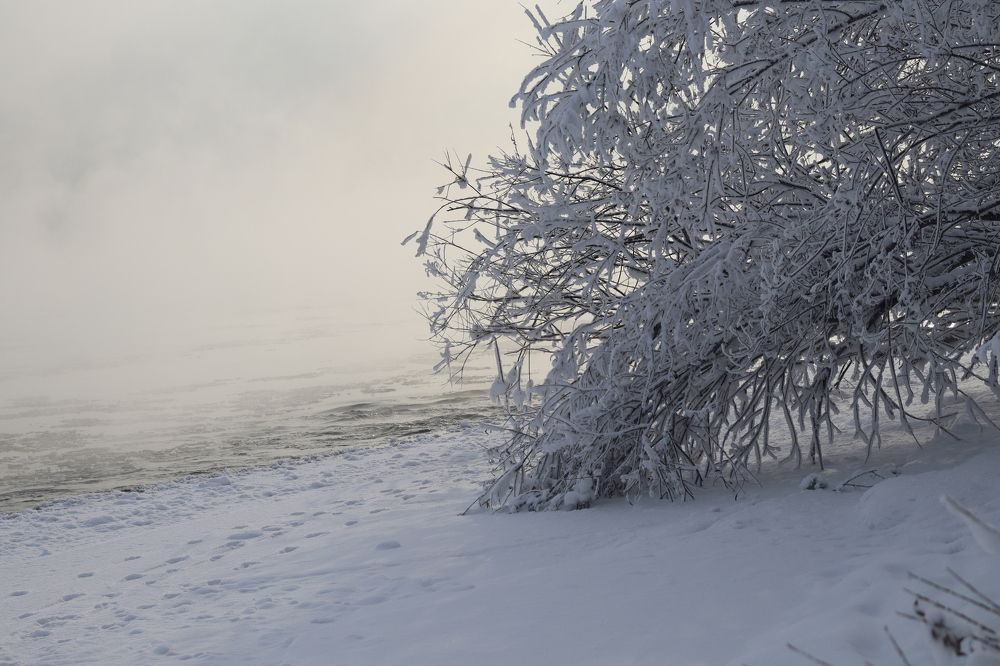 Photograph by Марина Тимонова