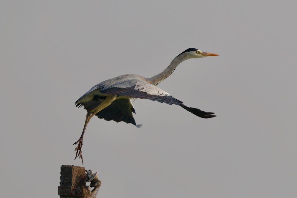 Photograph by Sanjay Risbood