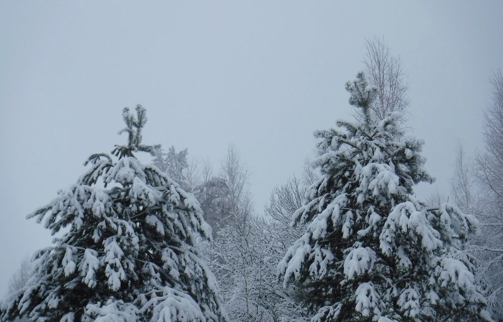 Photograph by Елена Сухорученкова