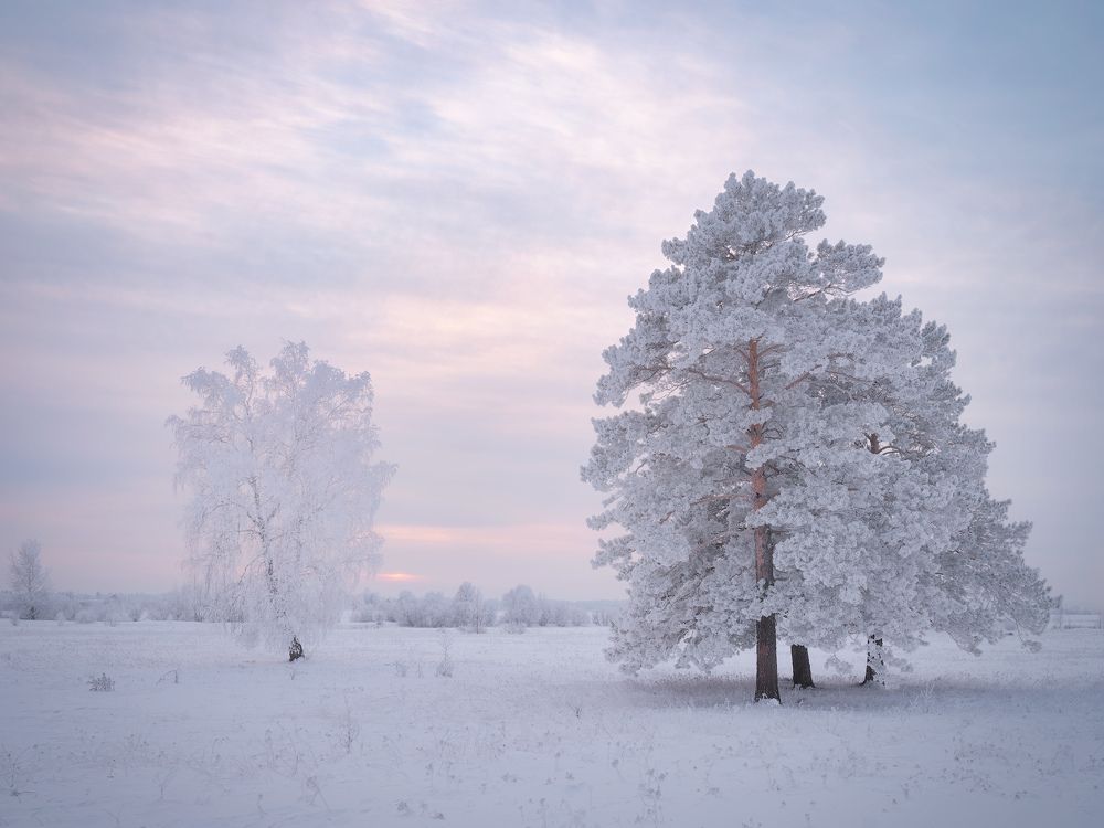 Photograph by Леонтьев Константин