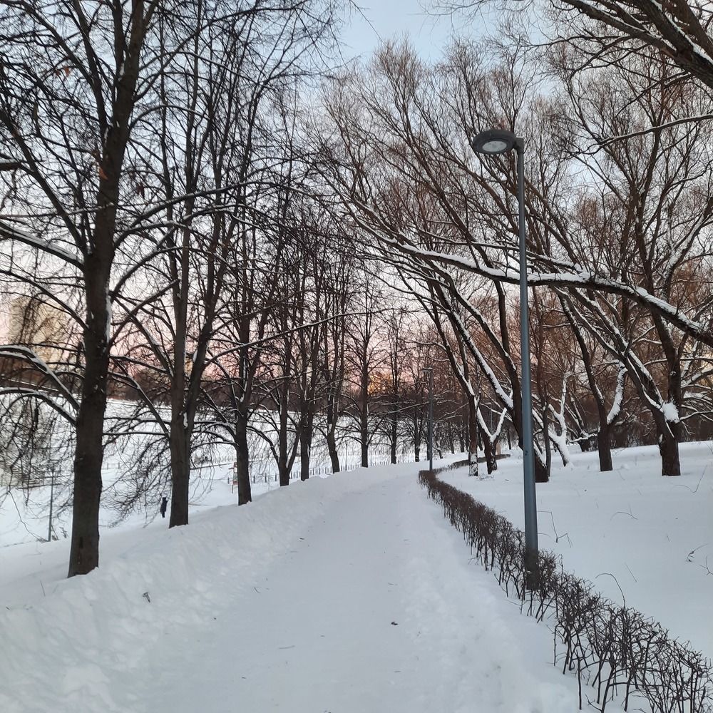 Photograph by Олеся