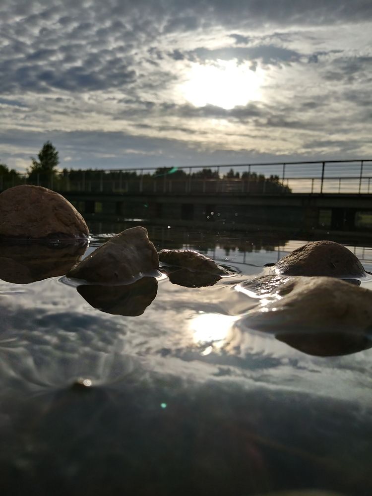 Photograph by Нина Старкова