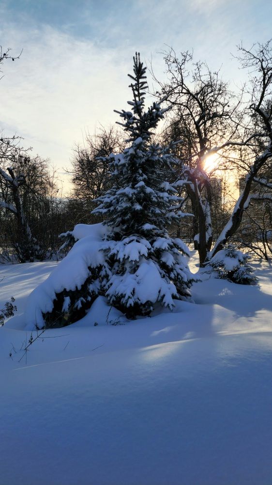 Фотография автора Ольга
