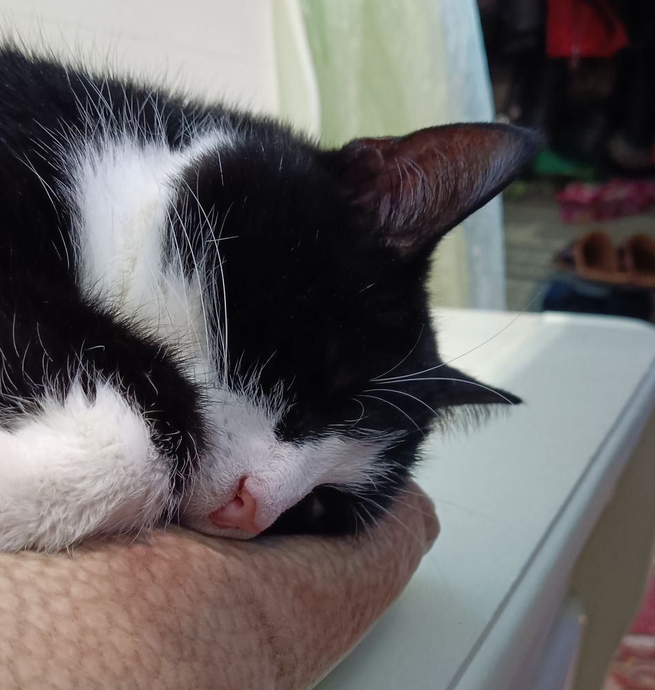 Фотография автора Сергей Старицын