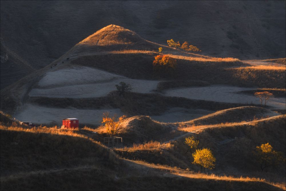 Photograph by Влад Соколовский