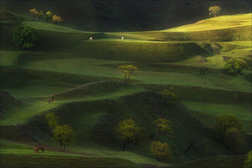 Photograph by Влад Соколовский