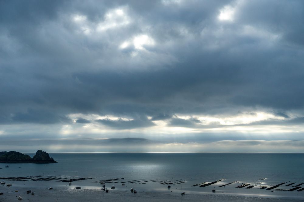 Фотография автора Ирина Зайцева