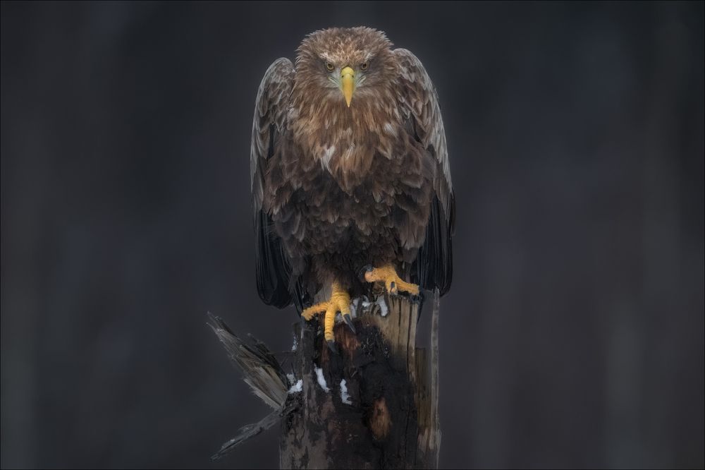 Photograph by Влад Соколовский