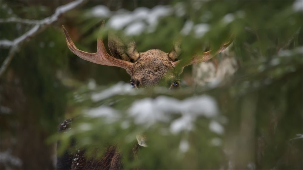 Photograph by Влад Соколовский