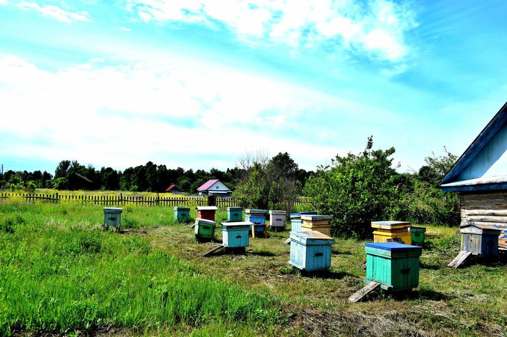 Photograph by Олег Акатьев