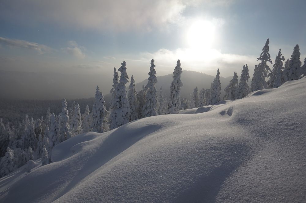 Photograph by Лена Максимкина