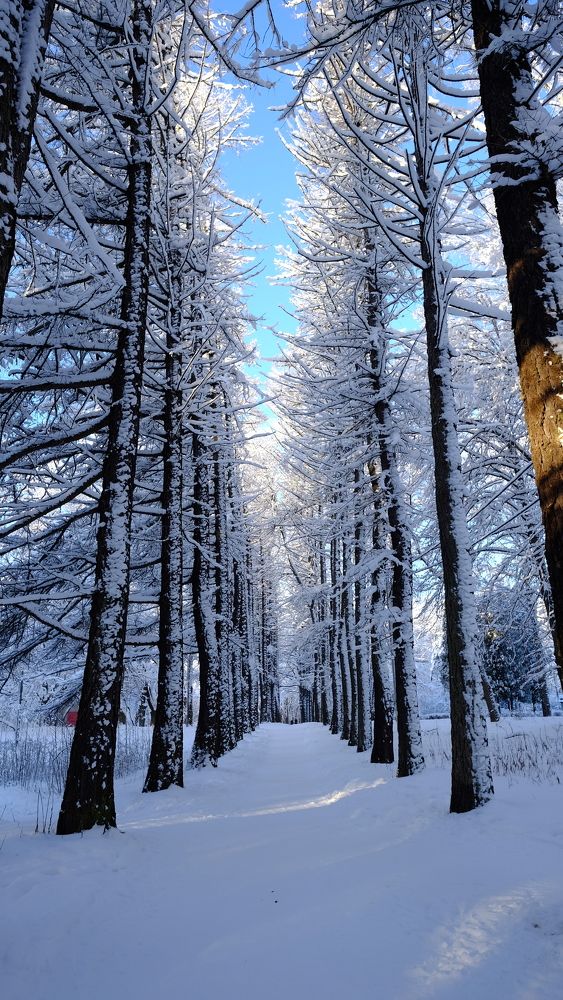 Photograph by Лариса Андреева