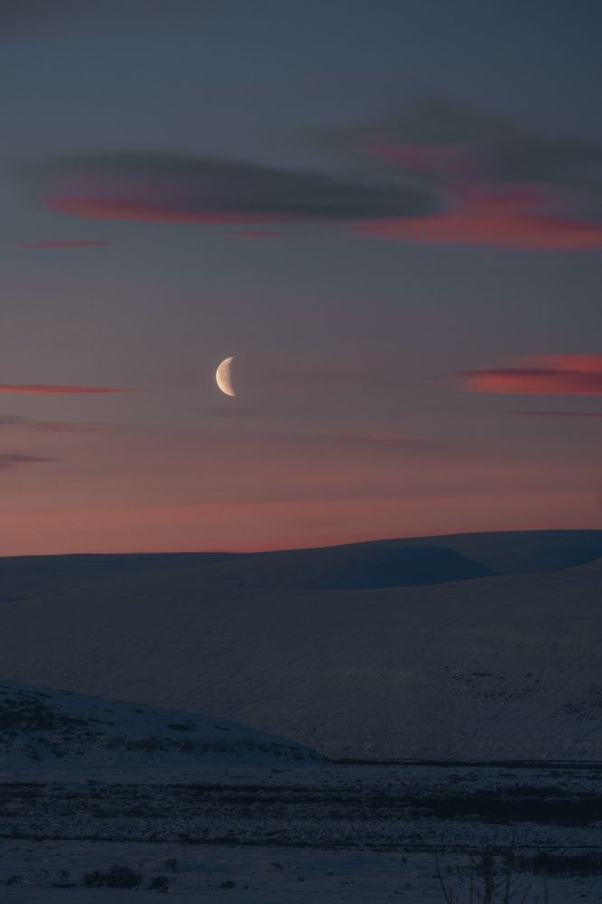 Photograph by Angela