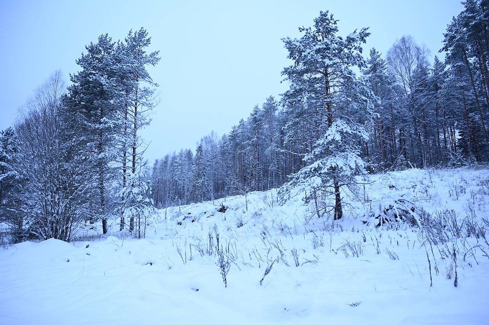 Photograph by Ксения