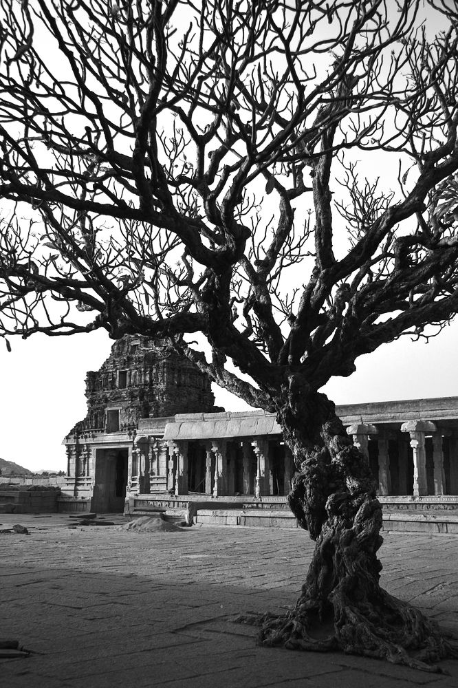 Photograph by Юлия Карасева