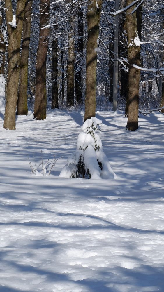 Photograph by Лариса Андреева