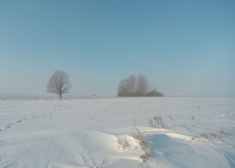 Photograph by Aliaksei Shandalin