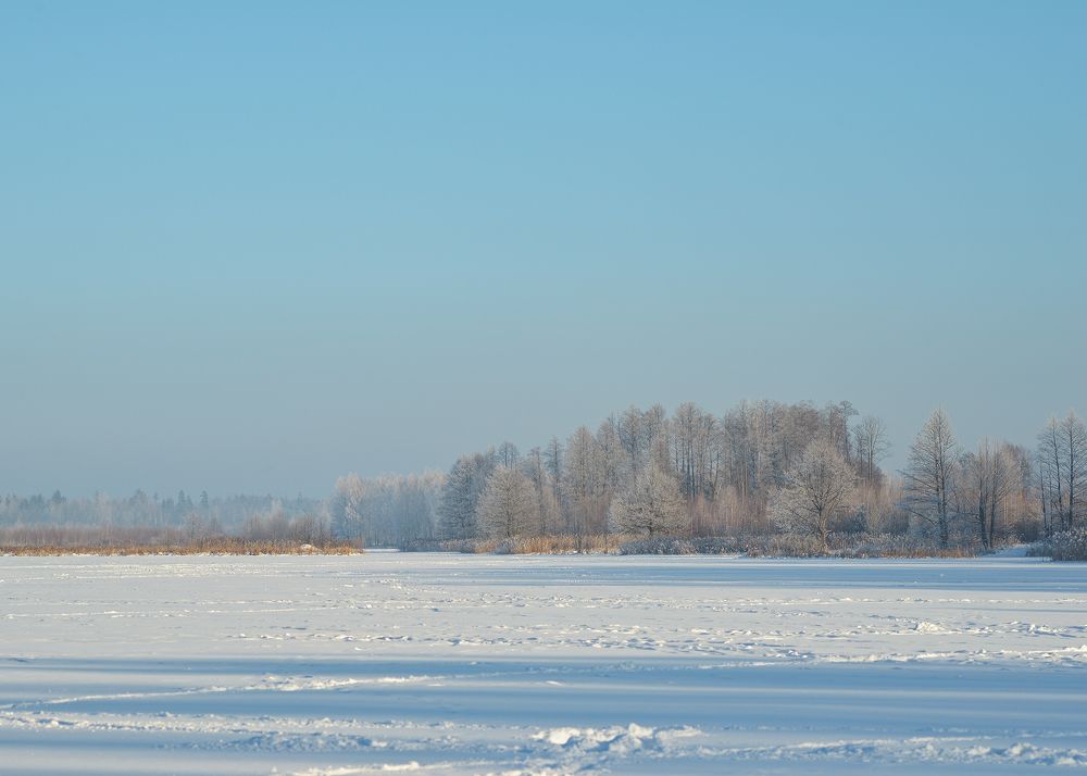 Photograph by Aliaksei Shandalin