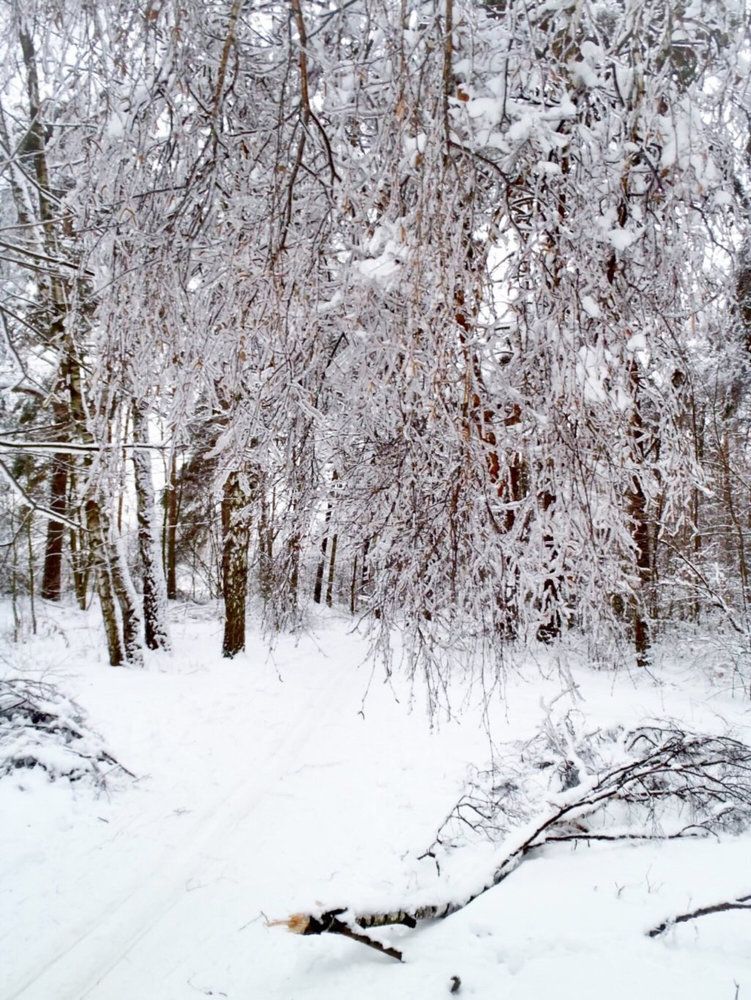 Фотография автора Илья