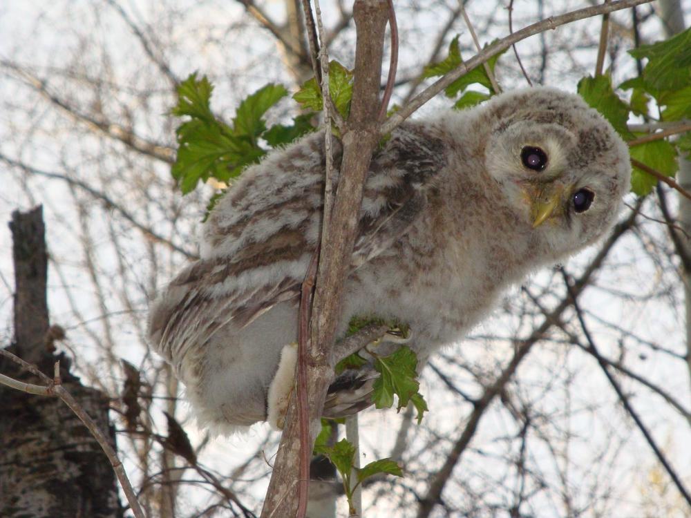 Photograph by Ольга Федякина