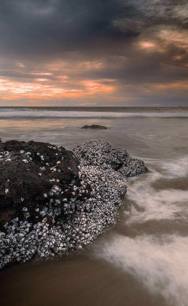 Photograph by Sachin S