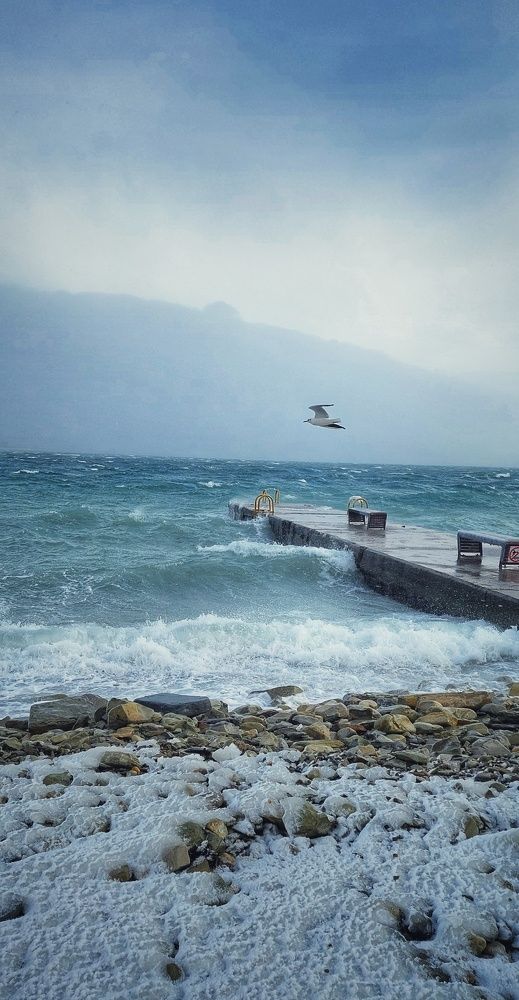 Photograph by Марина Жарикова