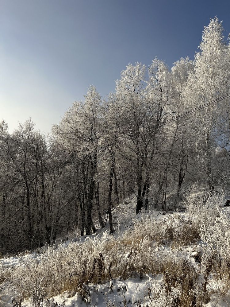 Photograph by Елена Лобакова