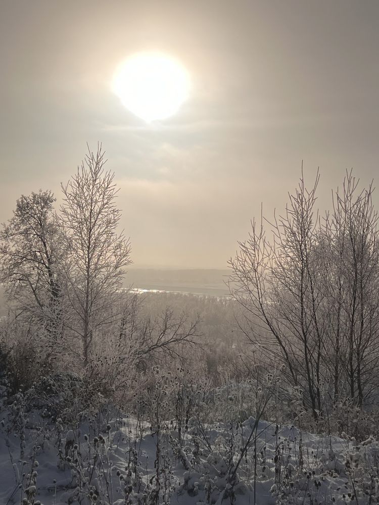 Photograph by Елена Лобакова