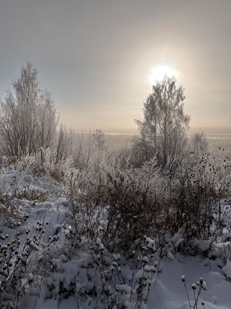 Photograph by Елена Лобакова