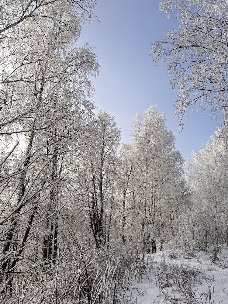 Photograph by Елена Лобакова