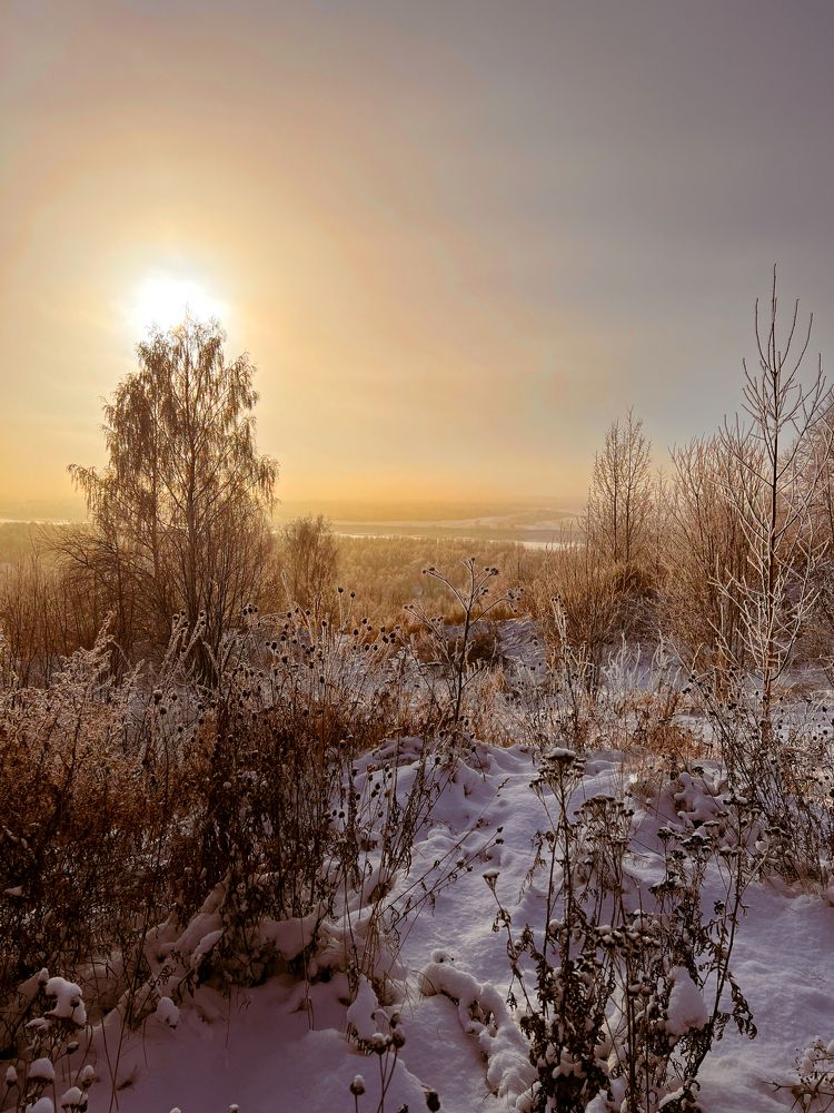 Photograph by Елена Лобакова