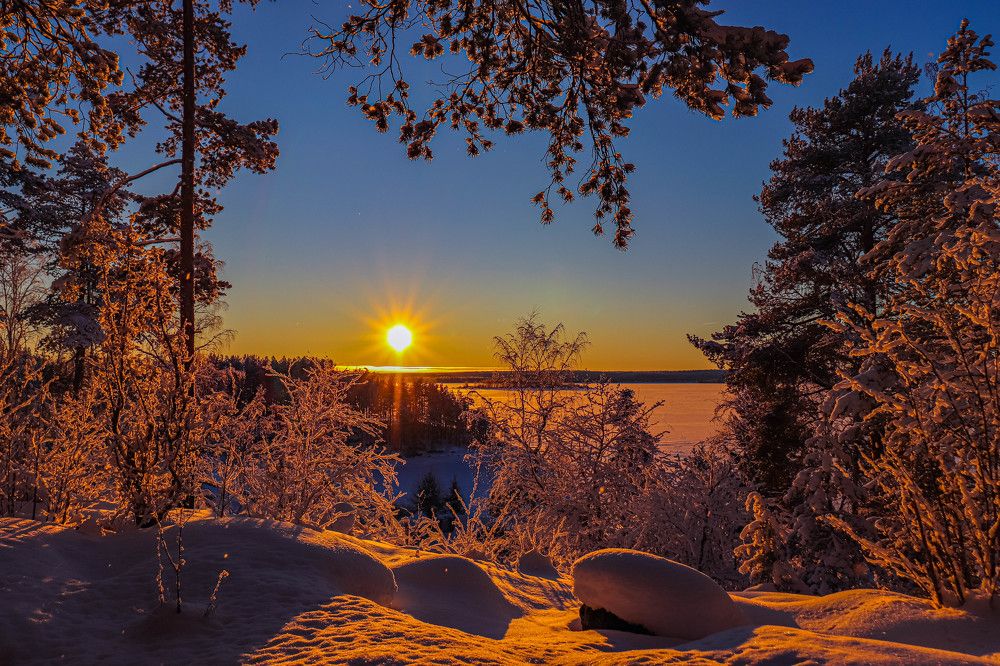 Photograph by Дмитрий Свинухов